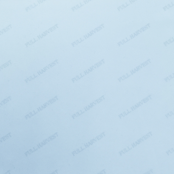 C5-STCH5050_Sustainable_600px