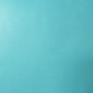 Taffeta with Cire - 63gsm