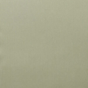 Bemberg Heavy Taffeta - 102gsm
