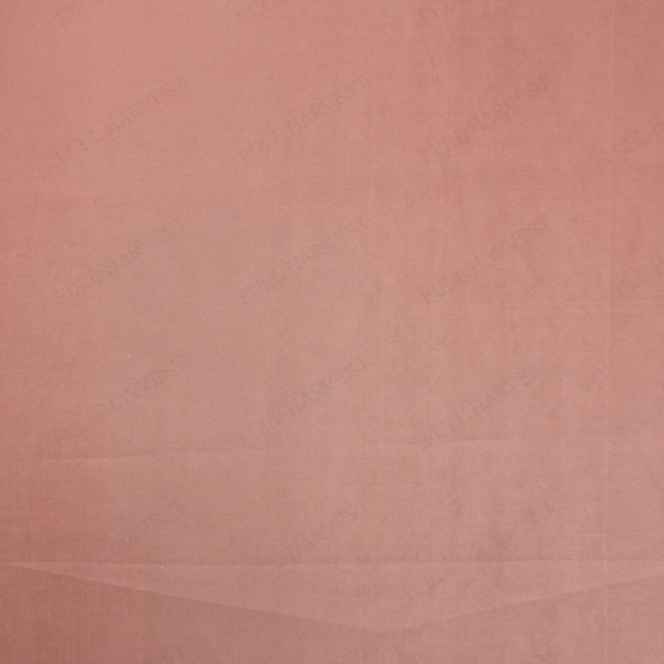 Z4-SC3441_Sustainable_600px