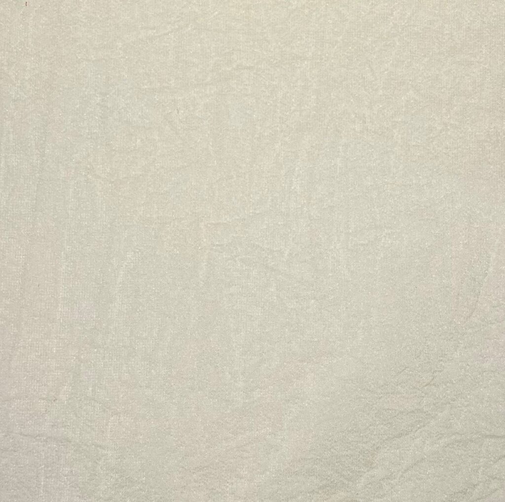 Nylon 20D Ripstop