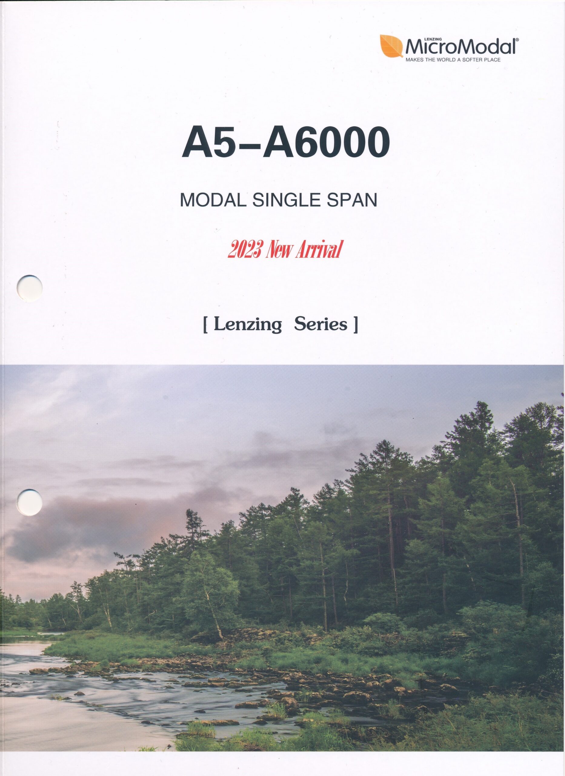 A5-A6000 P.1